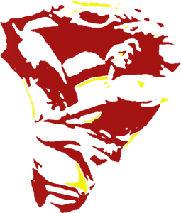 Warszawa Fryderyka Chopina, Fryderyk Chopin w warszawie, przewodnik po warszawie, spacery dla szkół